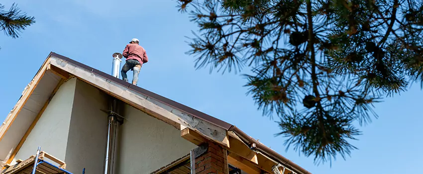 Birds Removal Contractors from Chimney in Covington, WA