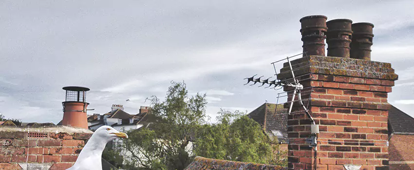 Chimney Cleaning And Restoration in Covington, Washington