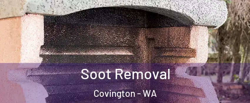  Soot Removal Covington - WA